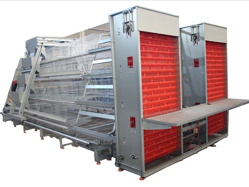Fully Automatic Layer Chicken Cage