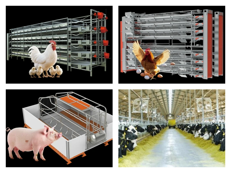 Livestock Farm Equipment & Solutions