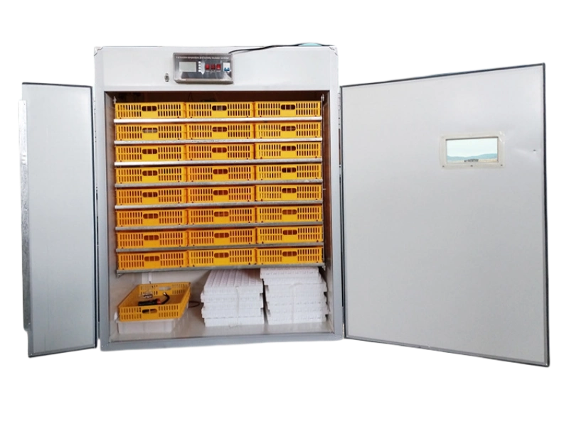 Intelligent Egg Incubator