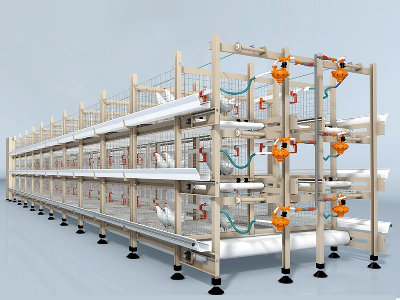 Broiler Poultry Farm House Design
